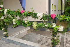 IMG20240622092423