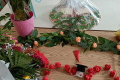 IMG20240622111950