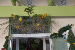 IMG20250621082322