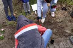 4b3