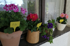 IMG_20220425_082101