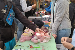 IMG20250530081206