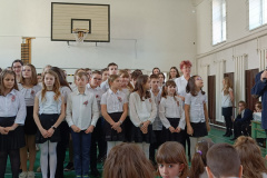 IMG20240314100249