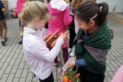 IMG_20210929_100757