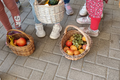 IMG20230929104518