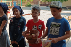 IMG20230929105319