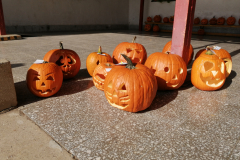 IMG_20211019_111424