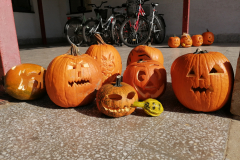 IMG_20211019_111447