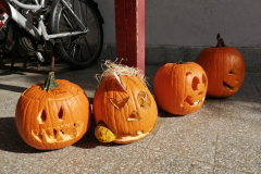 IMG_20211019_111504