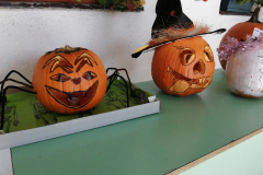 IMG_20211019_111518