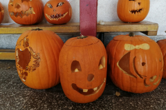 IMG_20211019_111606